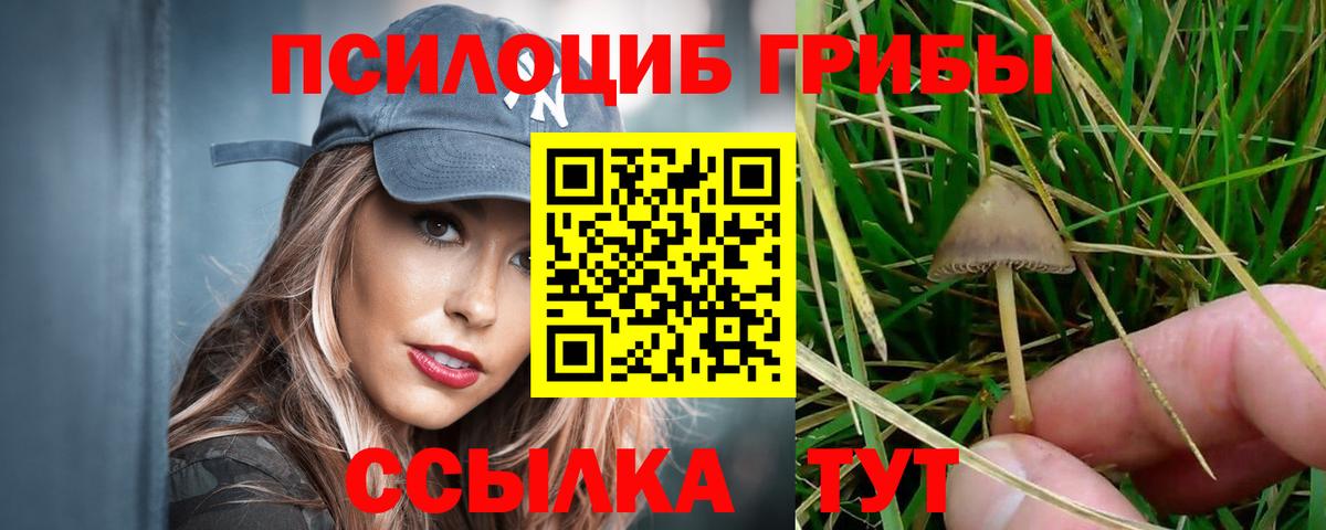 Псилоцибиновые грибы GOLDEN TEACHER  Вход с VPN  Галлюциногенные грибы мухоморы  Ноябрьск 